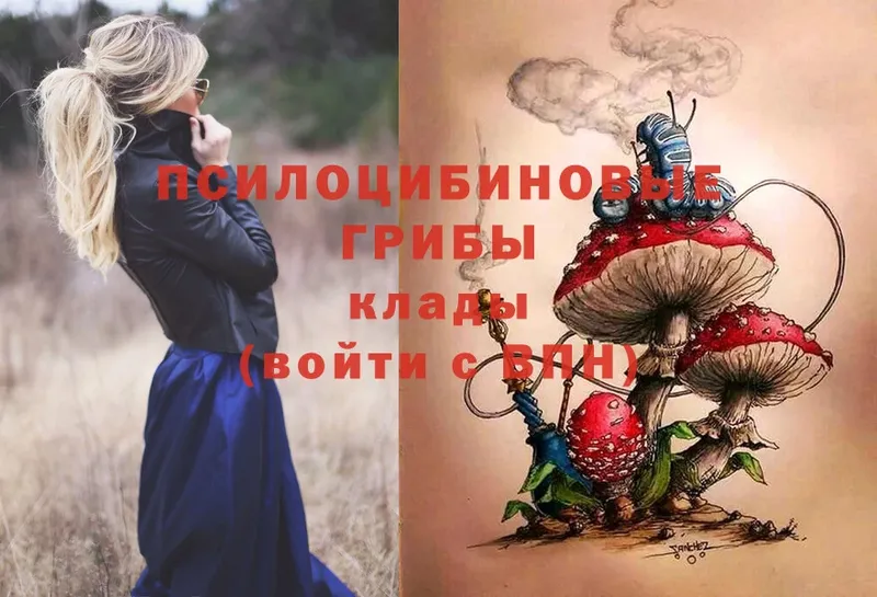 наркошоп  Ленинск  OMG ONION  Псилоцибиновые грибы Magic Shrooms 